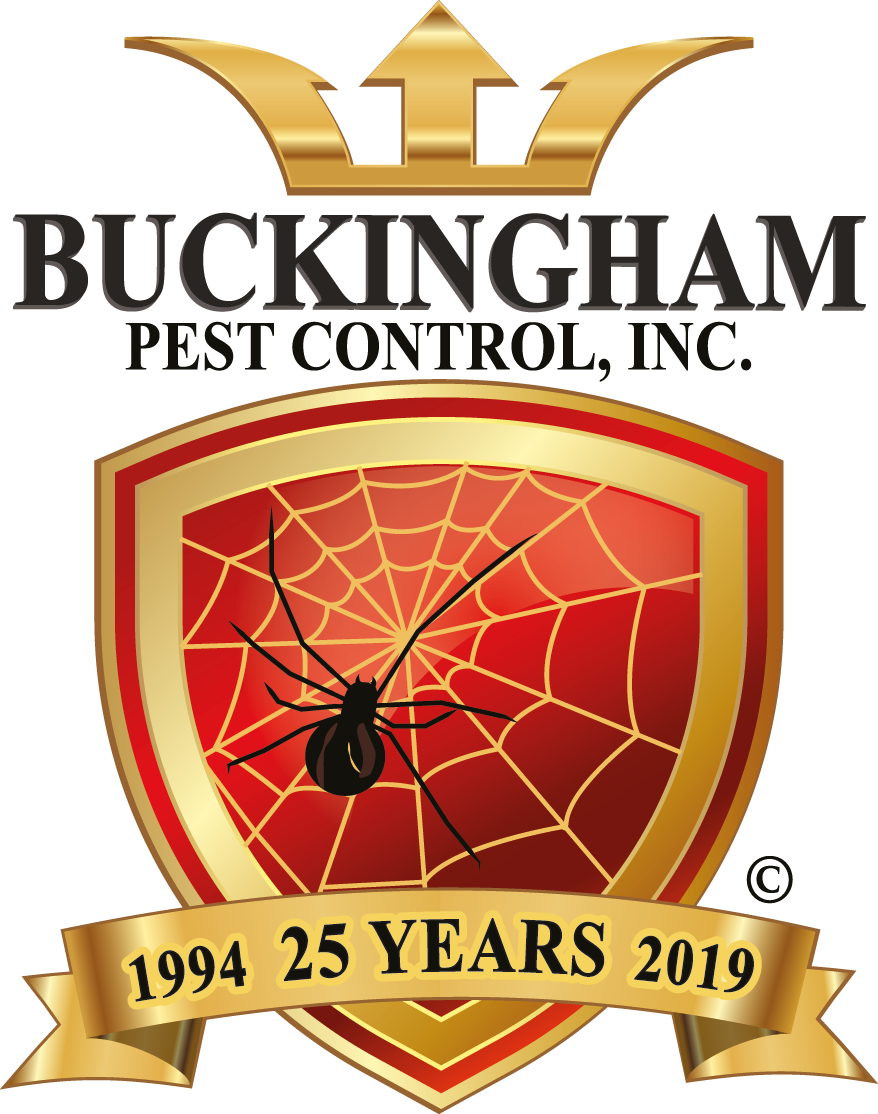 Bpc Color Anniversary - Buckingham Pest Control Clipart (878x1114), Png Download