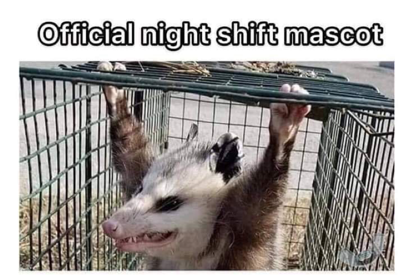 Share This - - Laughter Clipart (800x800), Png Download