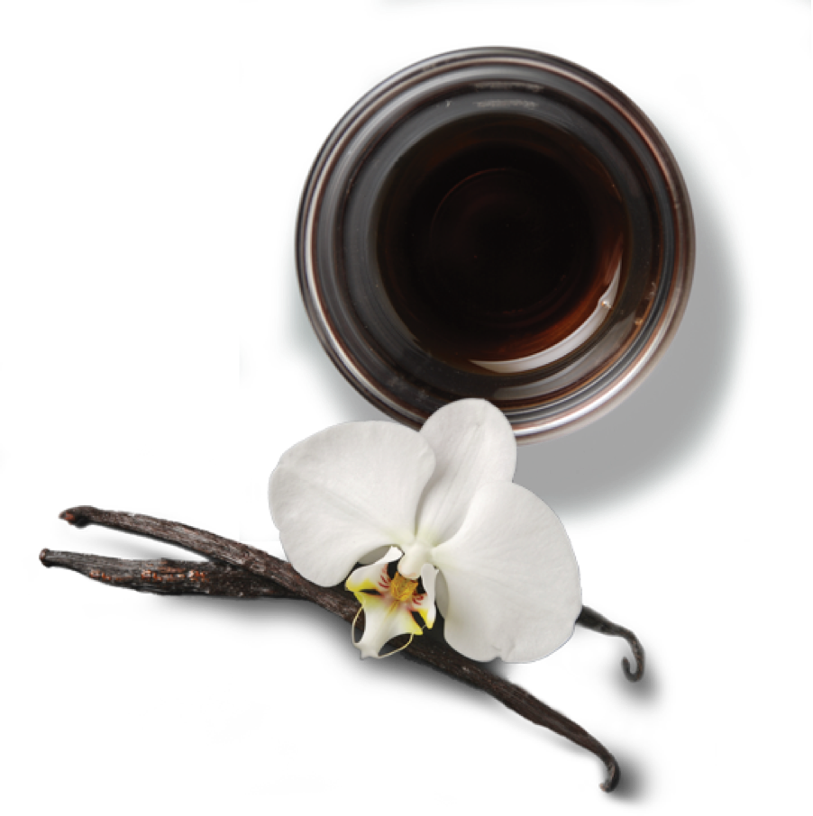 Follow Us - Moth Orchid Clipart (902x906), Png Download