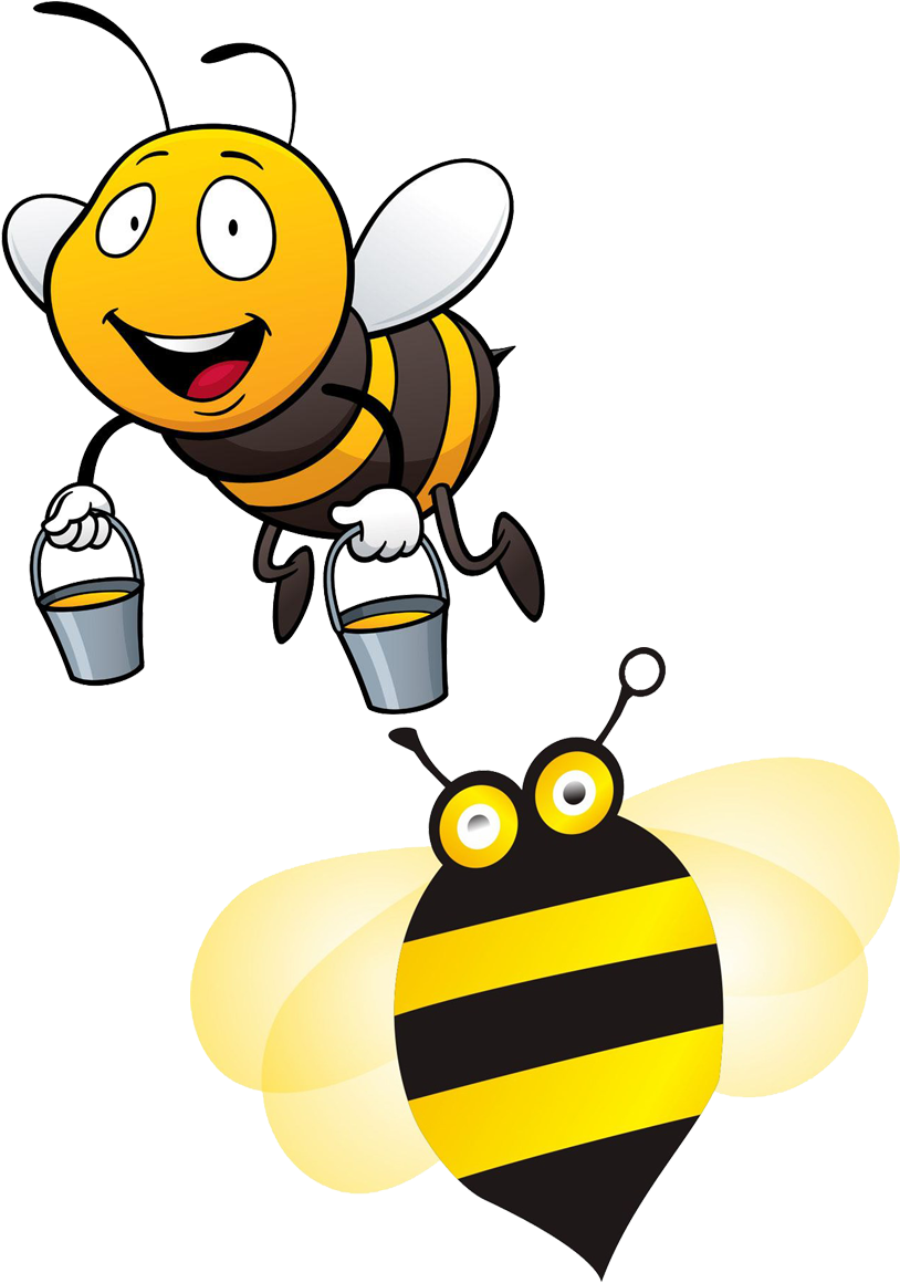 Bee Clip Art - Honey Bee Bee Cartoon Drawing - Png Download (875x1200), Png Download