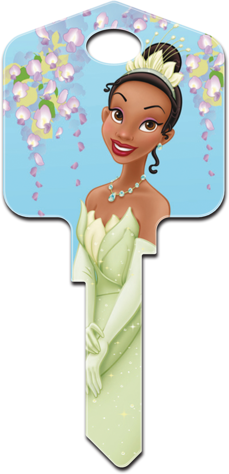 D60 - Princess Tiana - D60 - Illustration Clipart (863x1725), Png Download