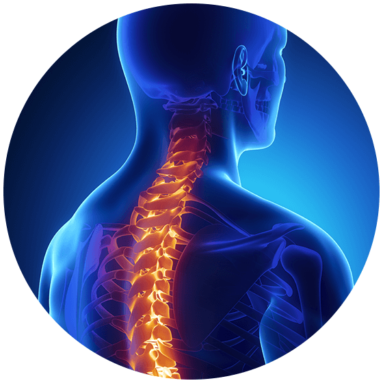 Real Patients - Spine Computer Clipart (560x560), Png Download