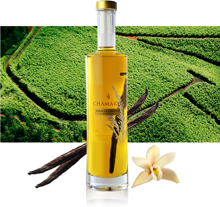 Vanilla Bottle Bg - Bottle Clipart (750x733), Png Download