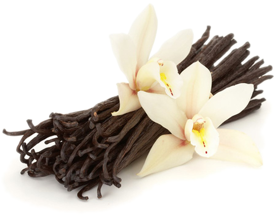 Vanilla - Vainilla En La Cocina Clipart (909x1000), Png Download