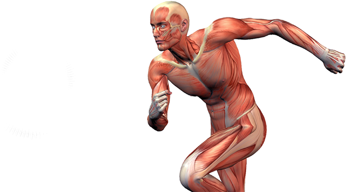 Sports Injuries - - Sport Injuries Png Clipart (940x434), Png Download