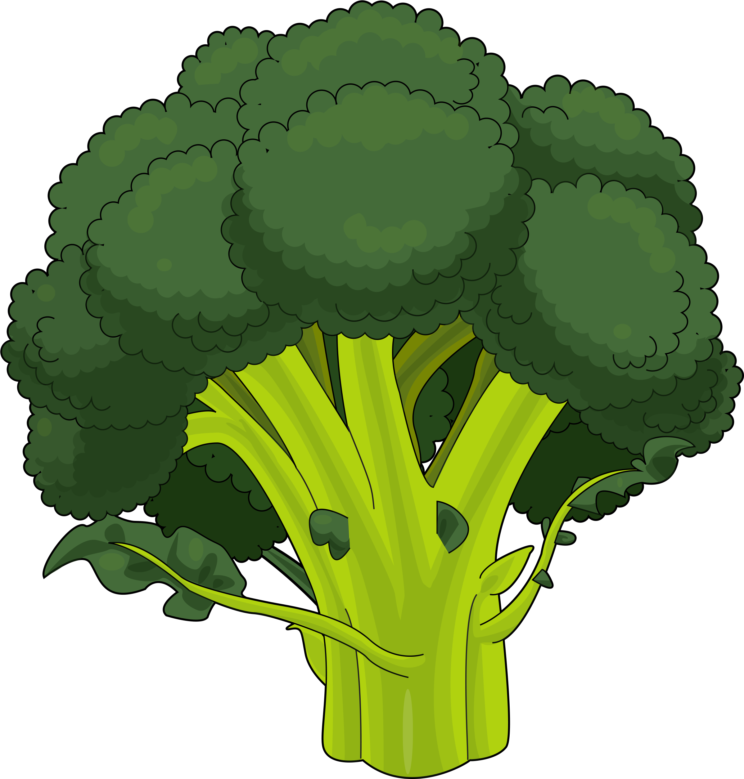 Brocoli Dibujo Png - Brocoli Y Coliflor Dibujo Clipart (2480x3508), Png Download