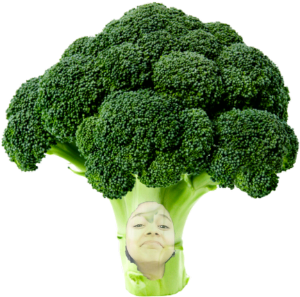 Broccoli Clipart (480x720), Png Download