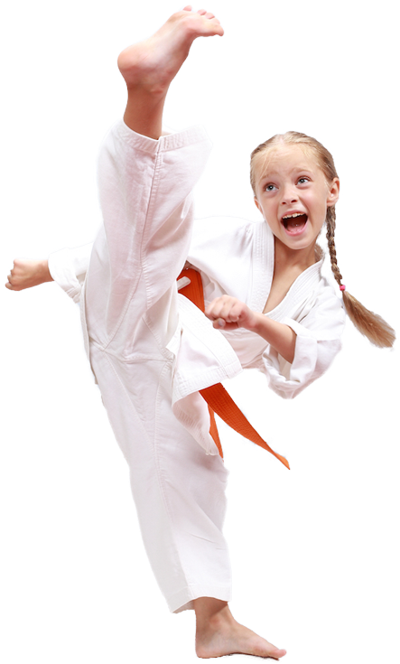 Karate Png High-quality Image - Karate Girl Images Png Clipart (479x800), Png Download