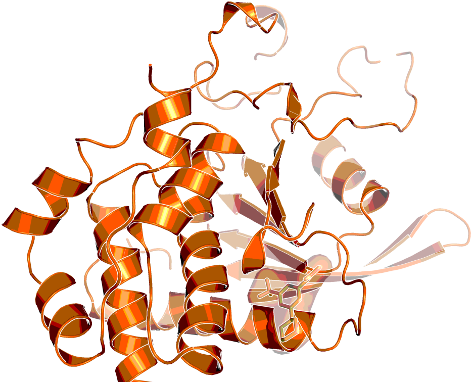 Step Structure And Allosteric Binding Site With Bound - Illustration Clipart (1024x768), Png Download