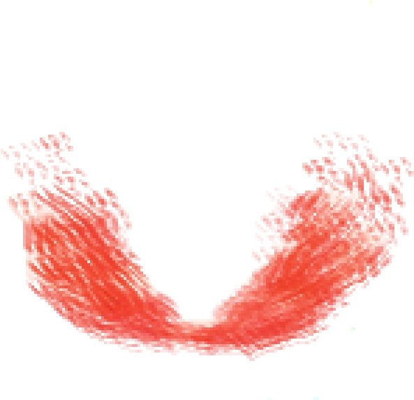 Sketch , Png Download - Illustration Clipart (593x573), Png Download