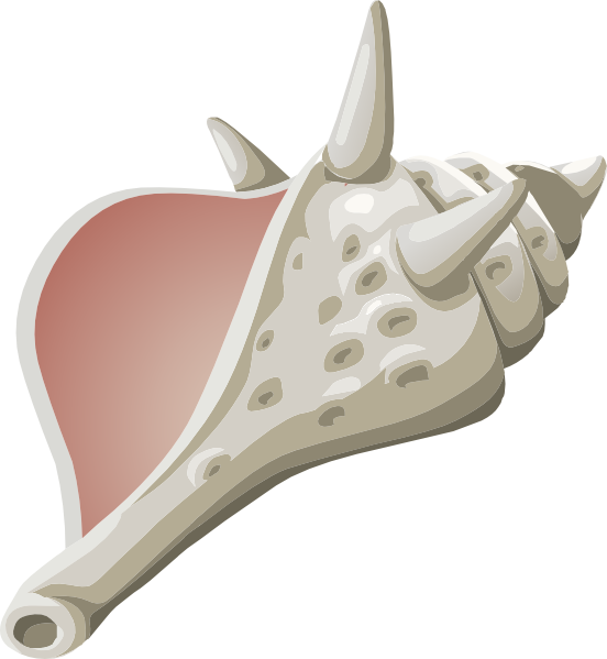 Conch Png - Lord Of The Flies Horn Clipart (552x599), Png Download