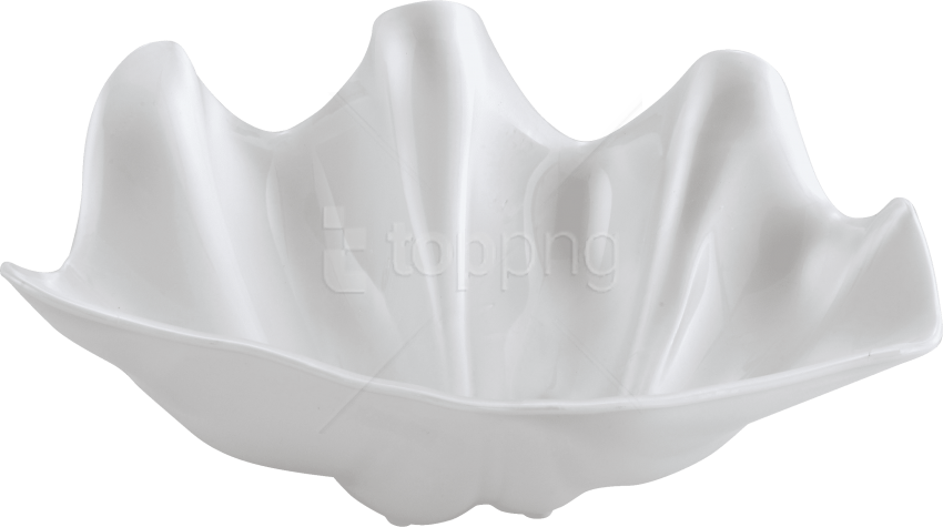 Free Png Conch Png Images Transparent - Ceramic Clipart (850x475), Png Download