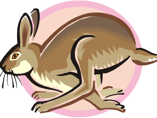 Arctic Hare Clipart Rabbite - Cartoon Hopping Rabbit - Png Download (640x480), Png Download