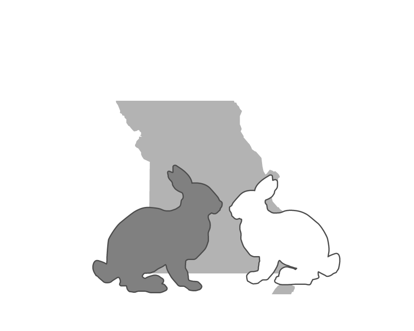 The House Rabbit Society - Domestic Rabbit Clipart (851x682), Png Download