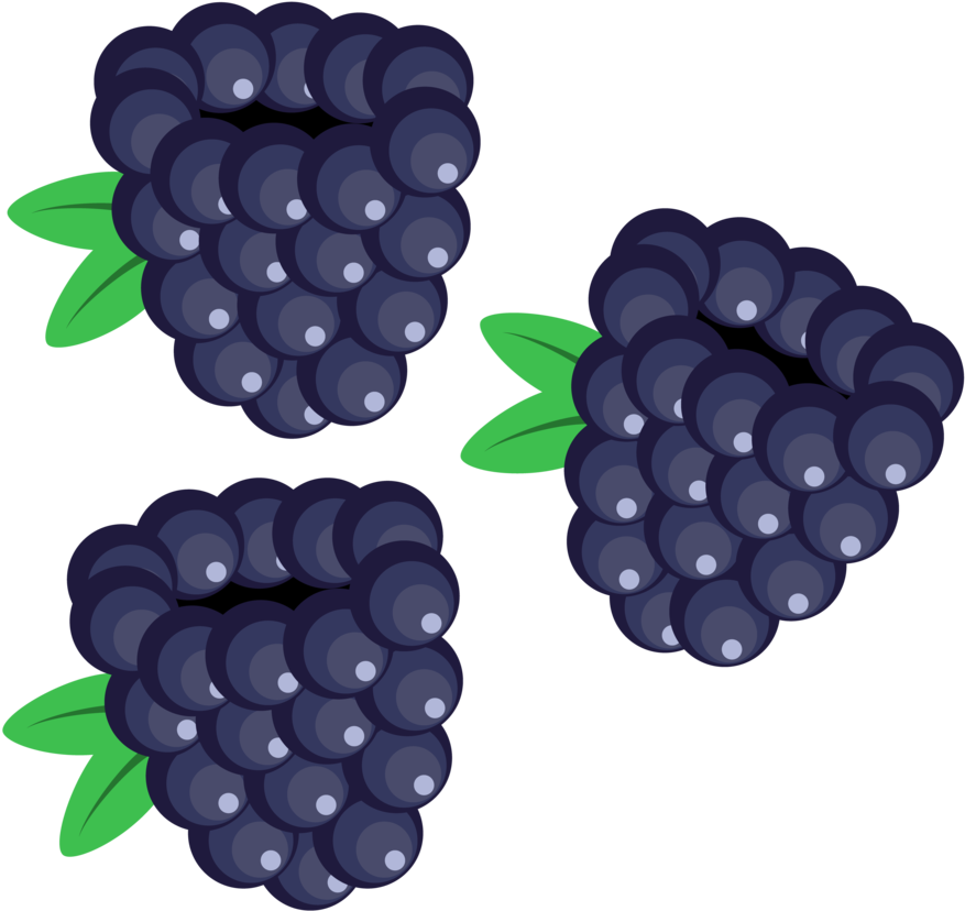 Berry Vector Blackberry - Blackberry Clipart - Png Download (900x860), Png Download