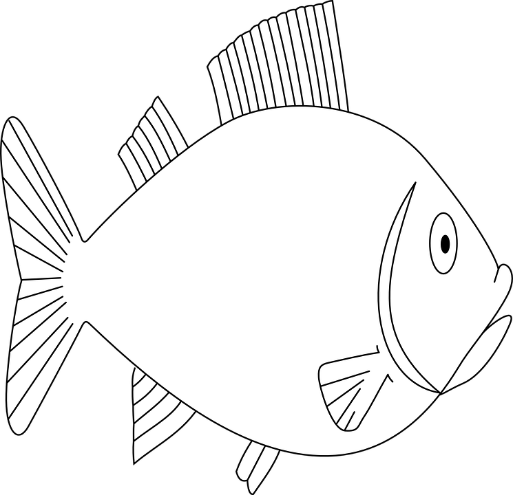 Fish Animal Swimming Sea Life Outline - Gambar Hitam Putih Kehidupan Di Dalam Laut Clipart (745x720), Png Download