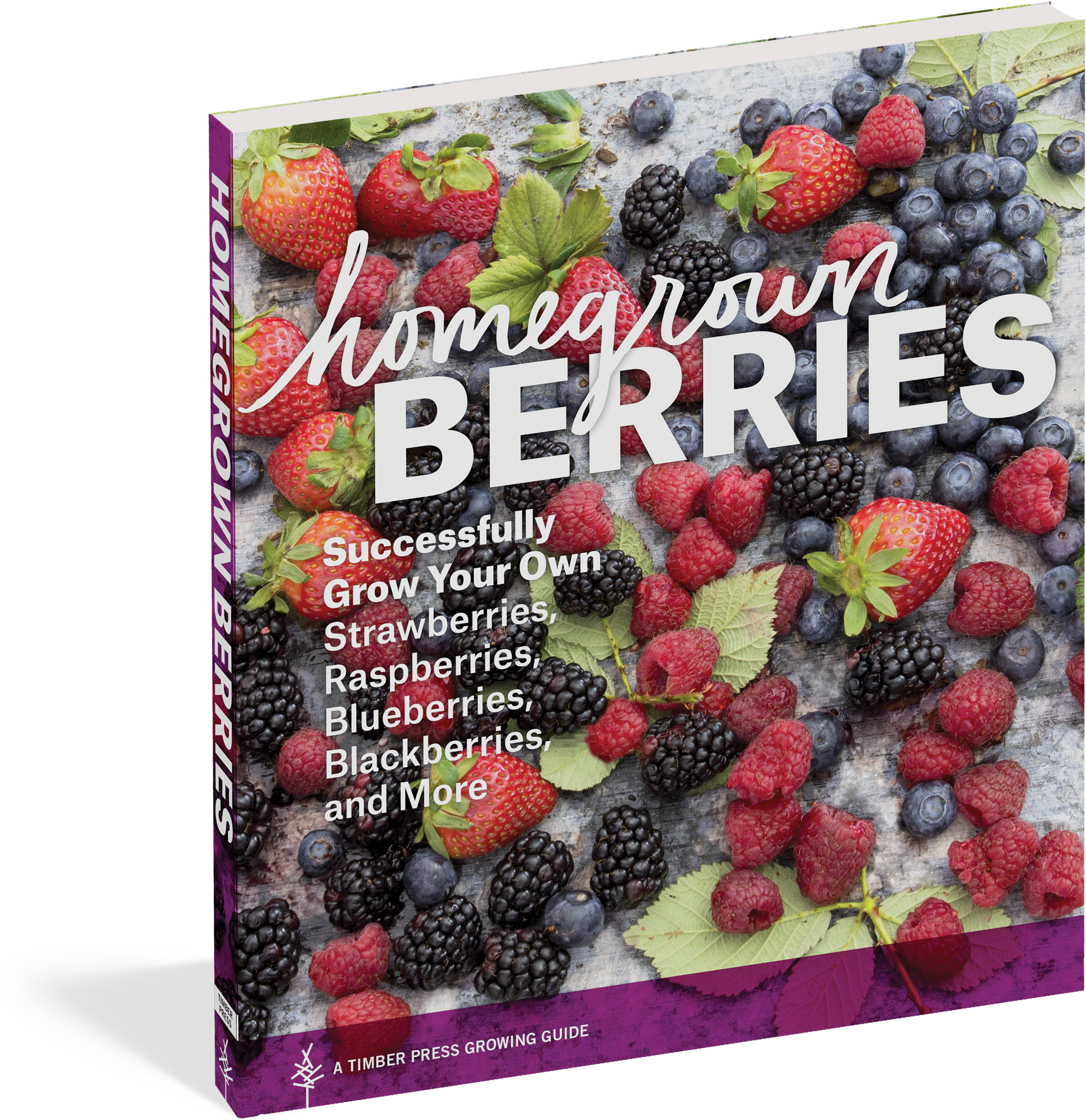 Frutti Di Bosco Clipart (2344x2400), Png Download