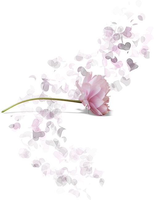 Фото, Автор Arana На Яндекс - Job 14 8 Kjv Clipart (500x648), Png Download