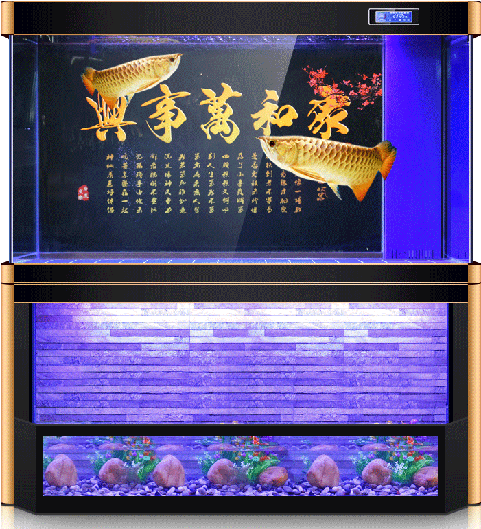 Fish Tank Form - Aquarium 120x50x90 Clipart (800x800), Png Download