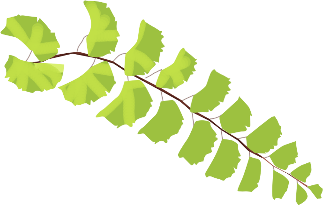 Leaves Plants Hand Drawn Style Fresh Png And Psd - Portable Network Graphics Clipart (2000x2000), Png Download