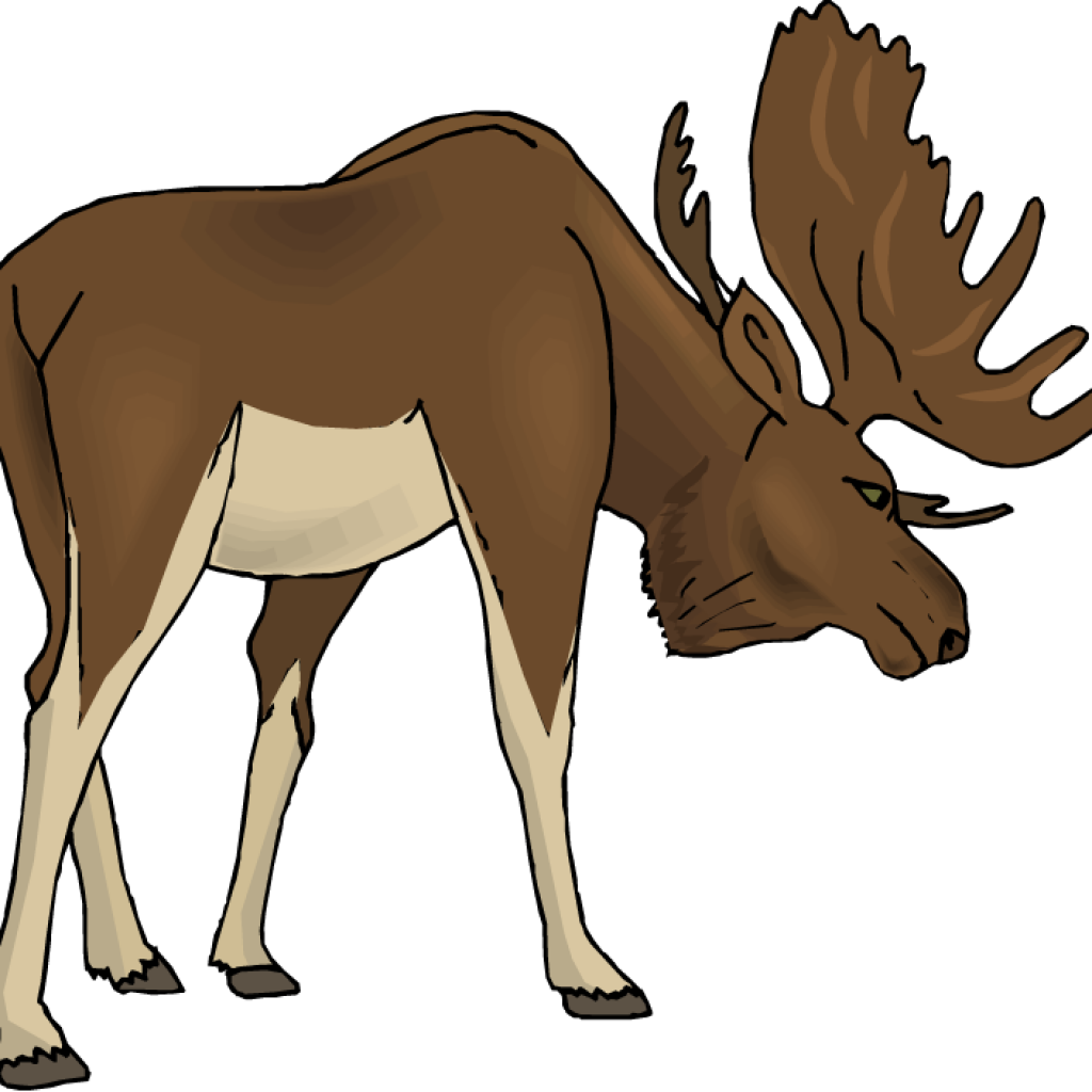 Free Vector And Clip Art Inspiration Candelalive - Moose Clipart Transparent - Png Download (1024x1024), Png Download
