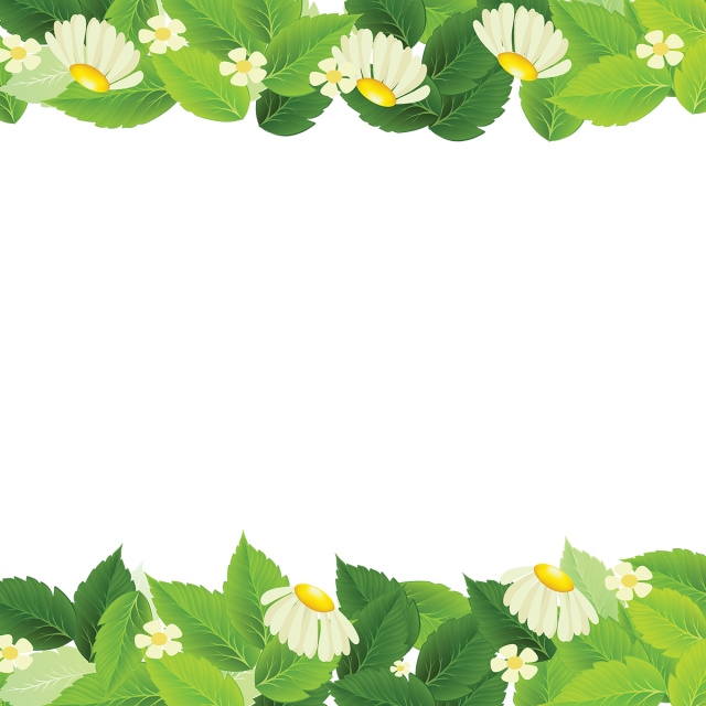 Hojas Plantas Vector Clipart (640x640), Png Download