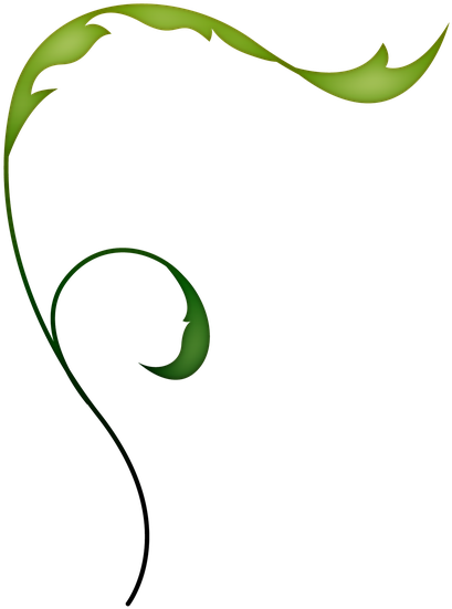 Vine Flowers Leaves Green Nature Clipart (556x720), Png Download