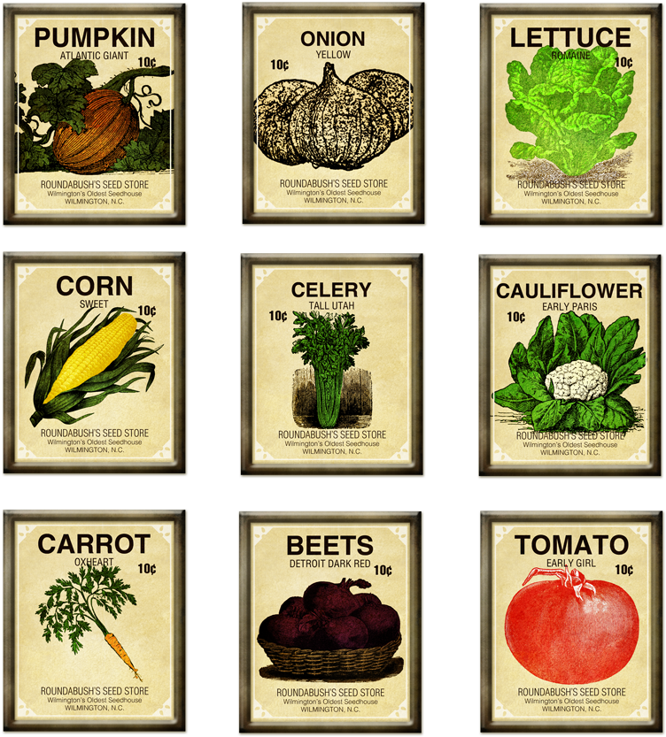 Fascinating Vegetable Garden Seeds Charming Ideas Seed - Seed Packet Clipart (752x833), Png Download