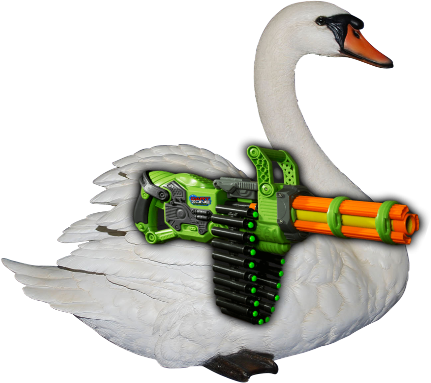 Swan Png Clipart - Trumpeter Swan Transparent Png (1299x870), Png Download