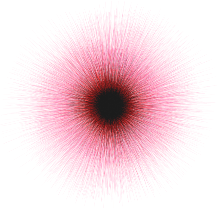 #remixit #ftestickers #flower #blossom #bloom #starburst - Petunia Clipart (767x767), Png Download