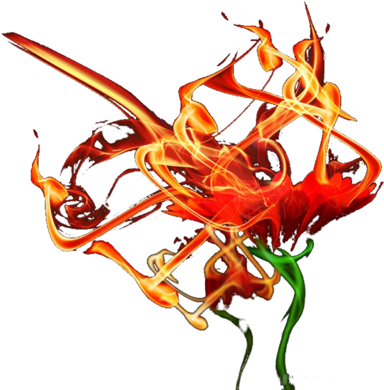 Fire Flower - Transparent Burning Roses Clipart (800x600), Png Download