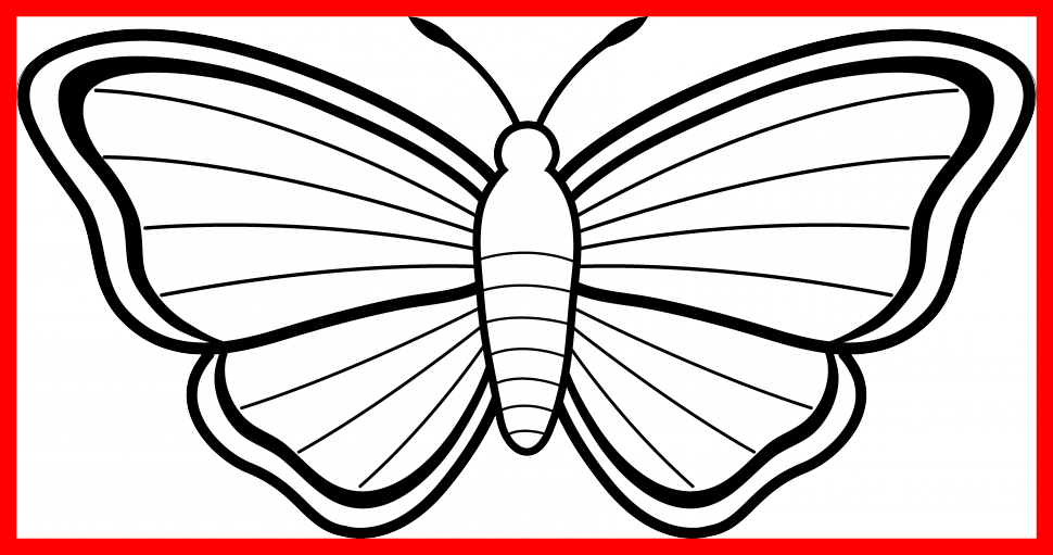 Transparent Library Astonishing Image For Popular Clip - Simple Sketch Easy Butterfly Drawing - Png Download (970x511), Png Download
