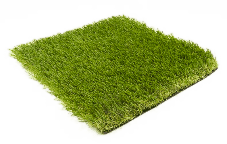 Wisdom 40mm - Types - Grass - Lawn Clipart (790x500), Png Download