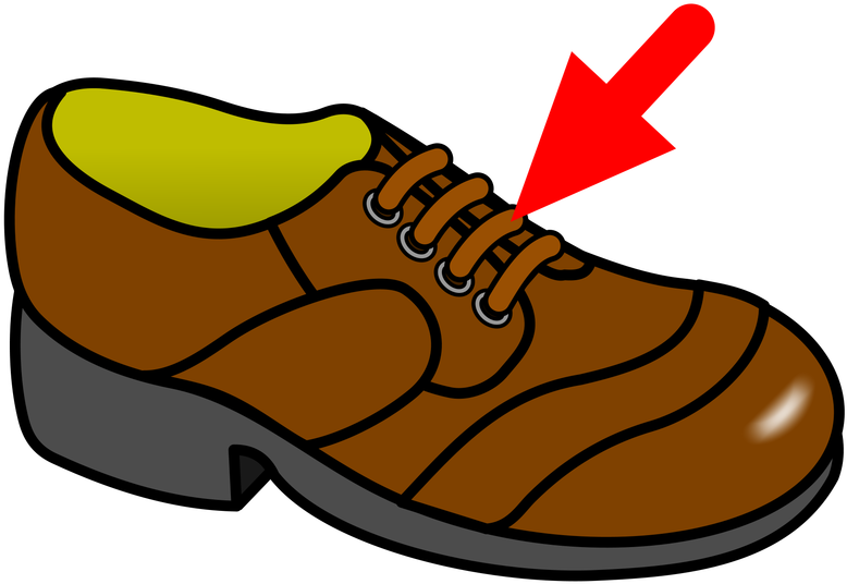 Lace - Clip Art - Png Download (800x800), Png Download