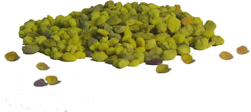 Bee Pollen - Sultana Clipart (848x848), Png Download