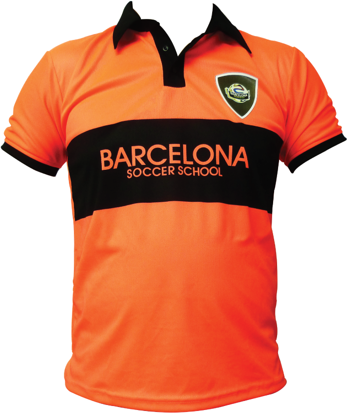 Suéter Estilo Polo - Polo Shirt Clipart (750x860), Png Download