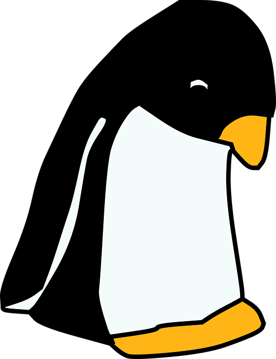 Sad Penguin Clipart - Png Download (553x720), Png Download