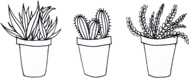 Aesthetic Tumblr Transparent Sketches Related Keywords - Cactus Drawing Black And White Clipart (634x262), Png Download