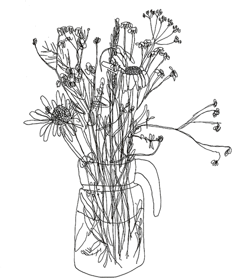 Doodle Transparent Cactus Tumblr Sketch Coloring Page - Flower Tumblr Line Art Clipart (500x615), Png Download