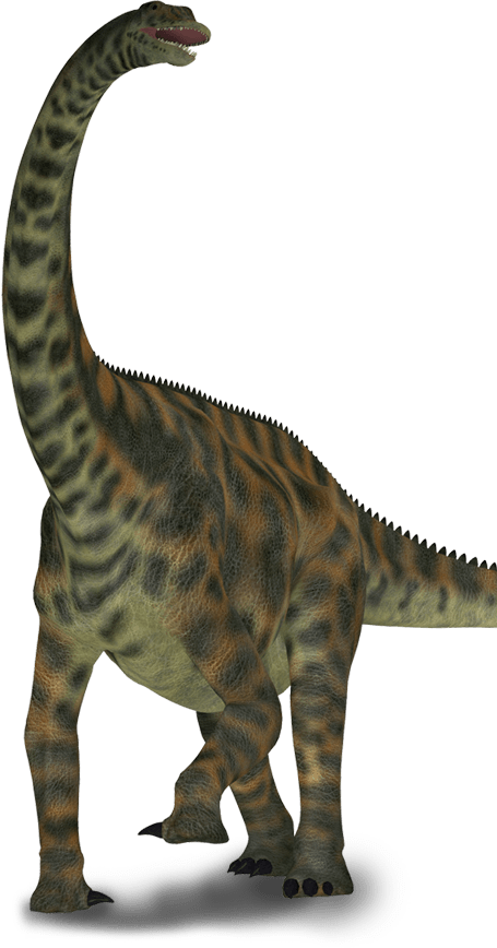 Scene Dino - Dinosaur Clipart (455x868), Png Download