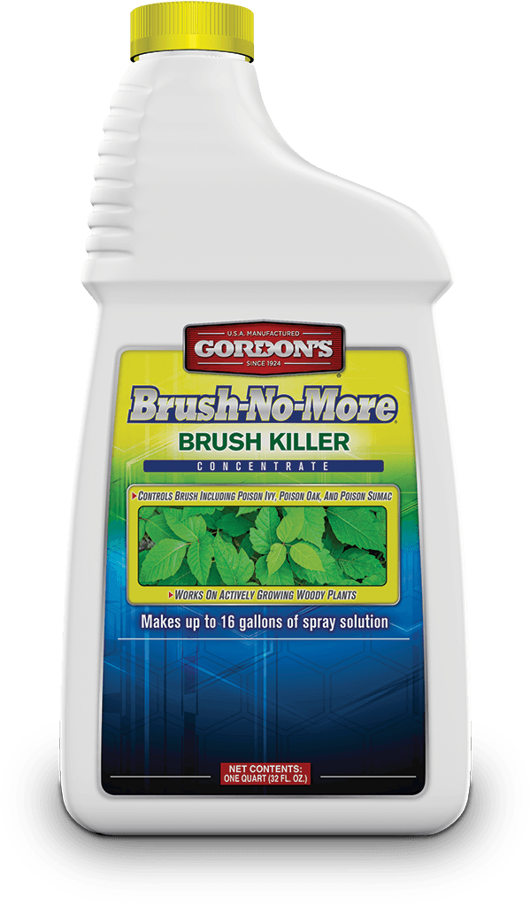 Lawn & Garden - Floor Clipart (1024x1024), Png Download