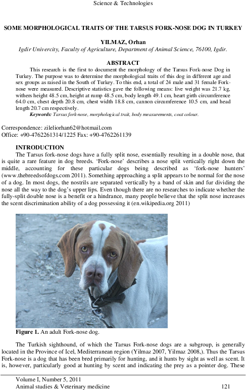 Pdf - Boxer Clipart (595x842), Png Download