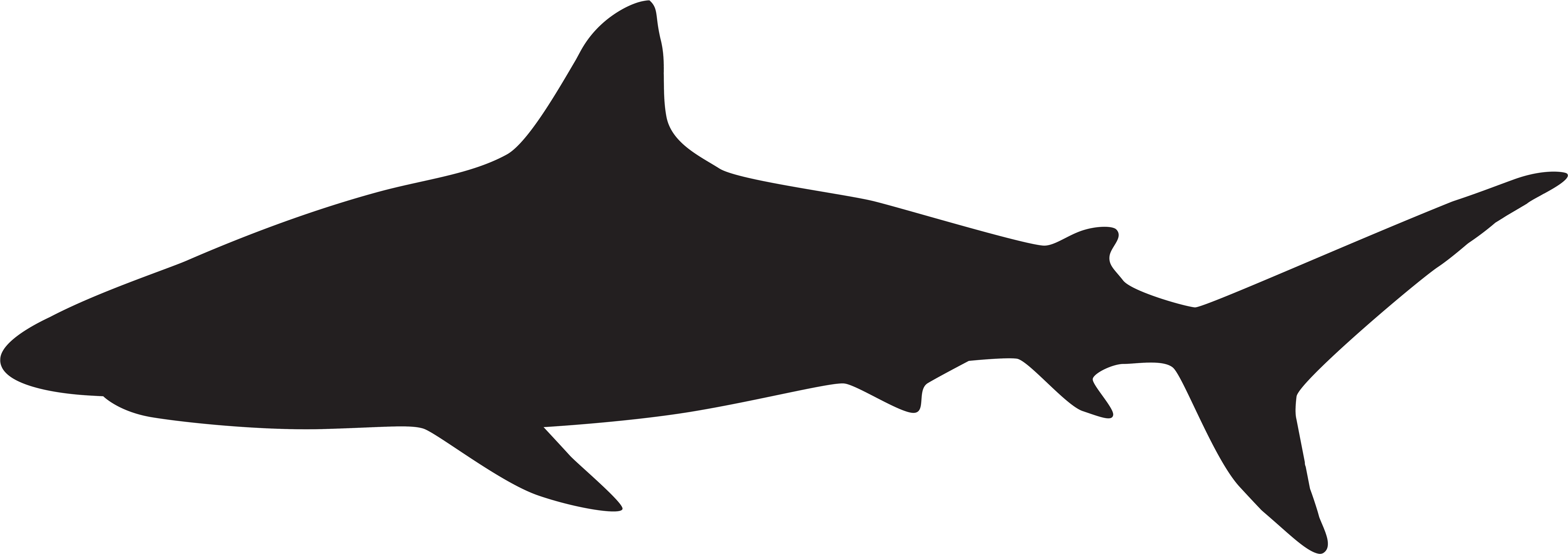 Shark Silhouette Png Clip Art Image - Shark Silhouette Png Transparent Png (8000x2808), Png Download