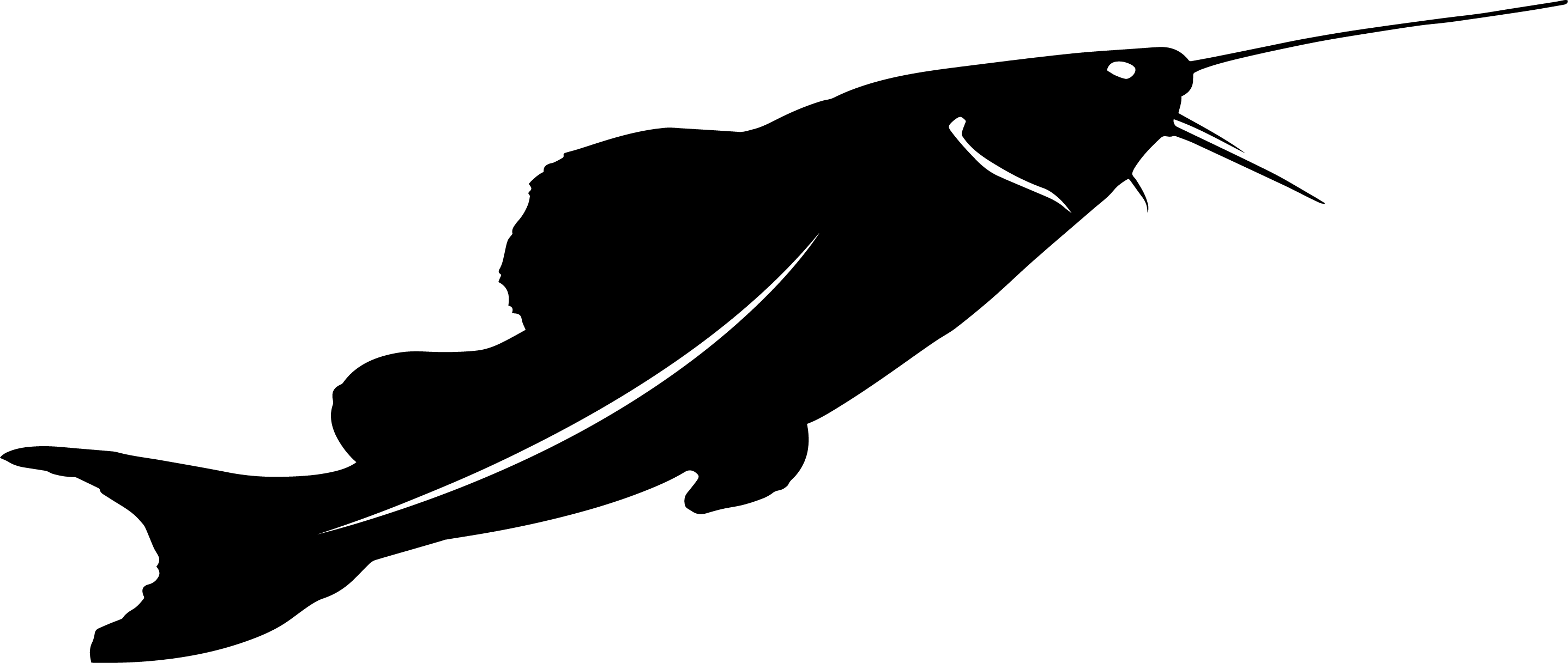 Fish Silhouette - Graphics - Illustration Clipart (2876x1217), Png Download