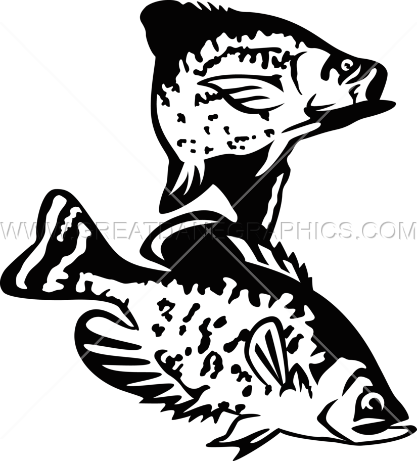 Crappie Vector - Crappie Illustration Black And White Clipart (825x912), Png Download