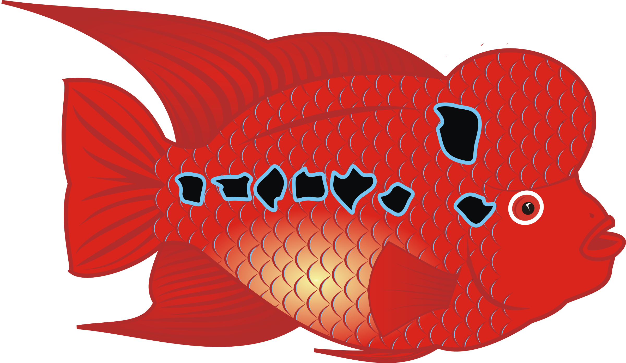 This Free Icons Png Design Of Flowerhorn Fish Clipart (2400x1394), Png Download