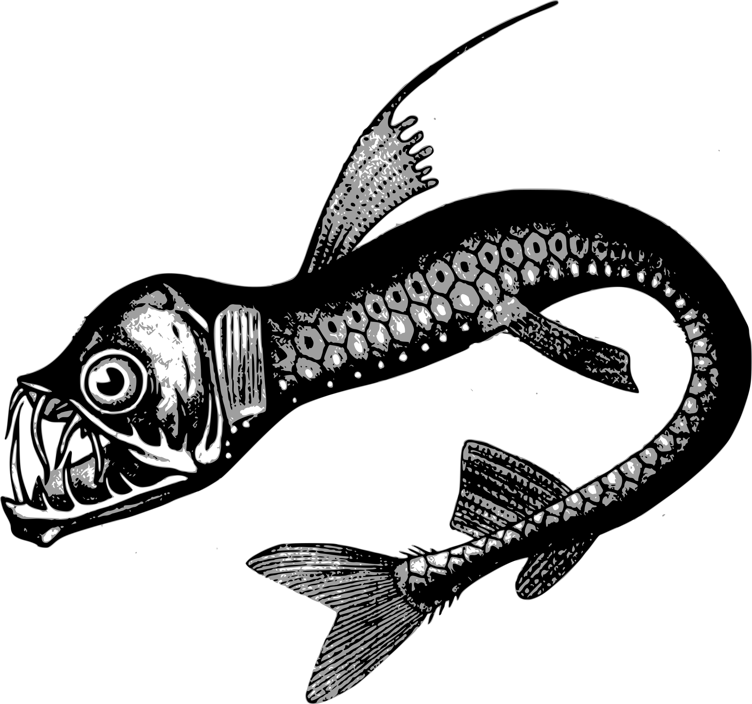 Big Image - Deep Sea Creatures Drawing Clipart (2400x2247), Png Download