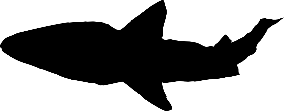 Free Download - Shark Silhouette Jpg Clipart (1125x439), Png Download