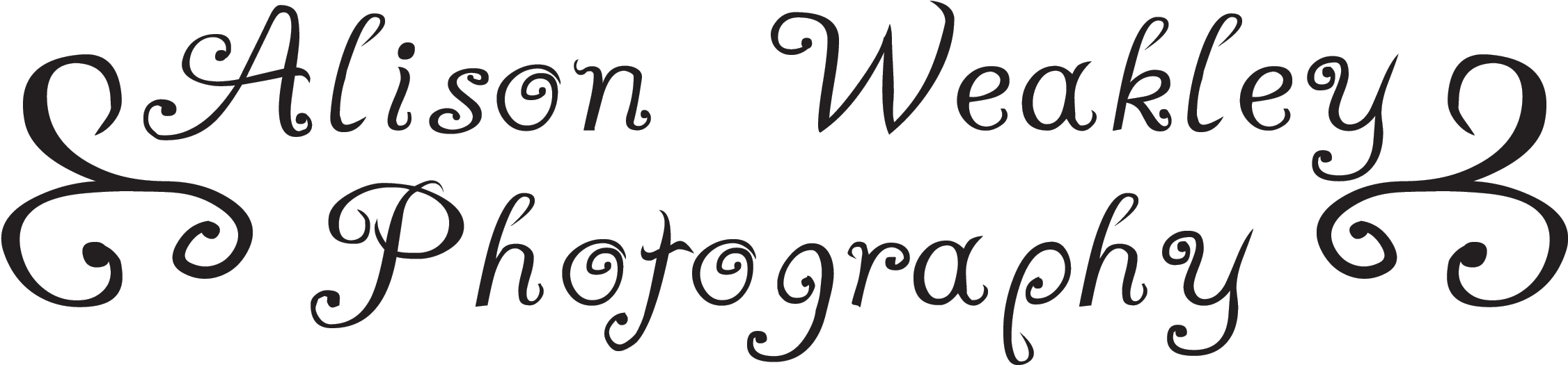 Alison Weakley Photography - Calligraphy Clipart (2550x900), Png Download