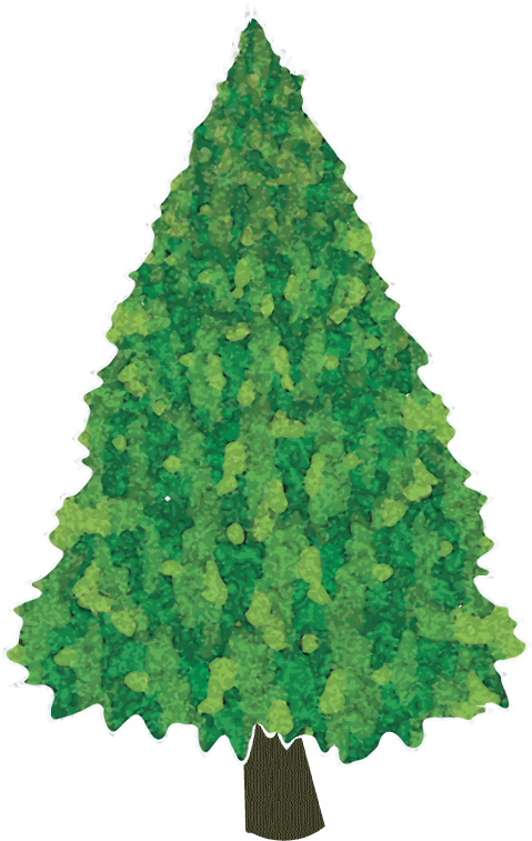 Tree - Christmas Tree Clipart (612x792), Png Download
